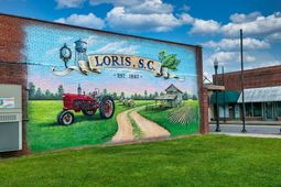 Tbd Fries Bay Rd. photo 4