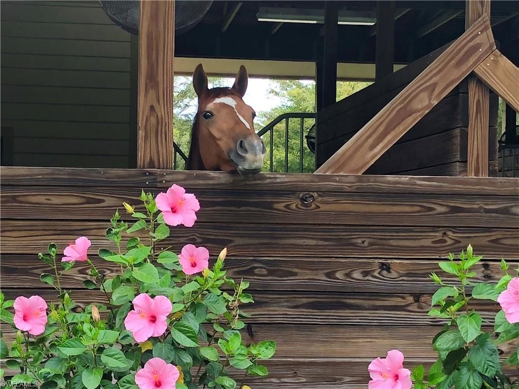 3800 Staley Rd, Fort Myers, FL 33905 Photo