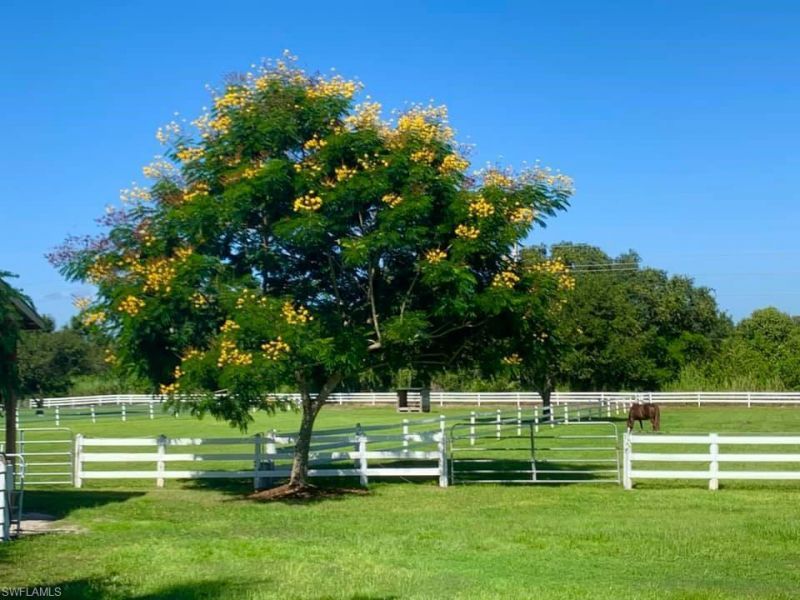 3800 Staley Rd, Fort Myers, FL 33905 Photo