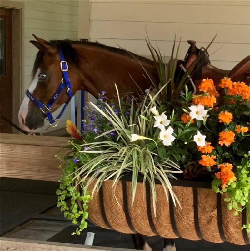 3800 Staley Rd, Fort Myers, FL 33905 Photo