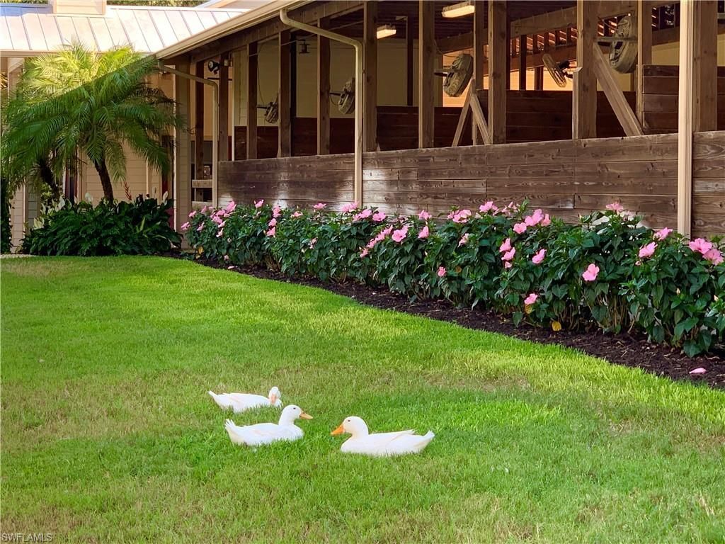 3800 Staley Rd, Fort Myers, FL 33905 Photo