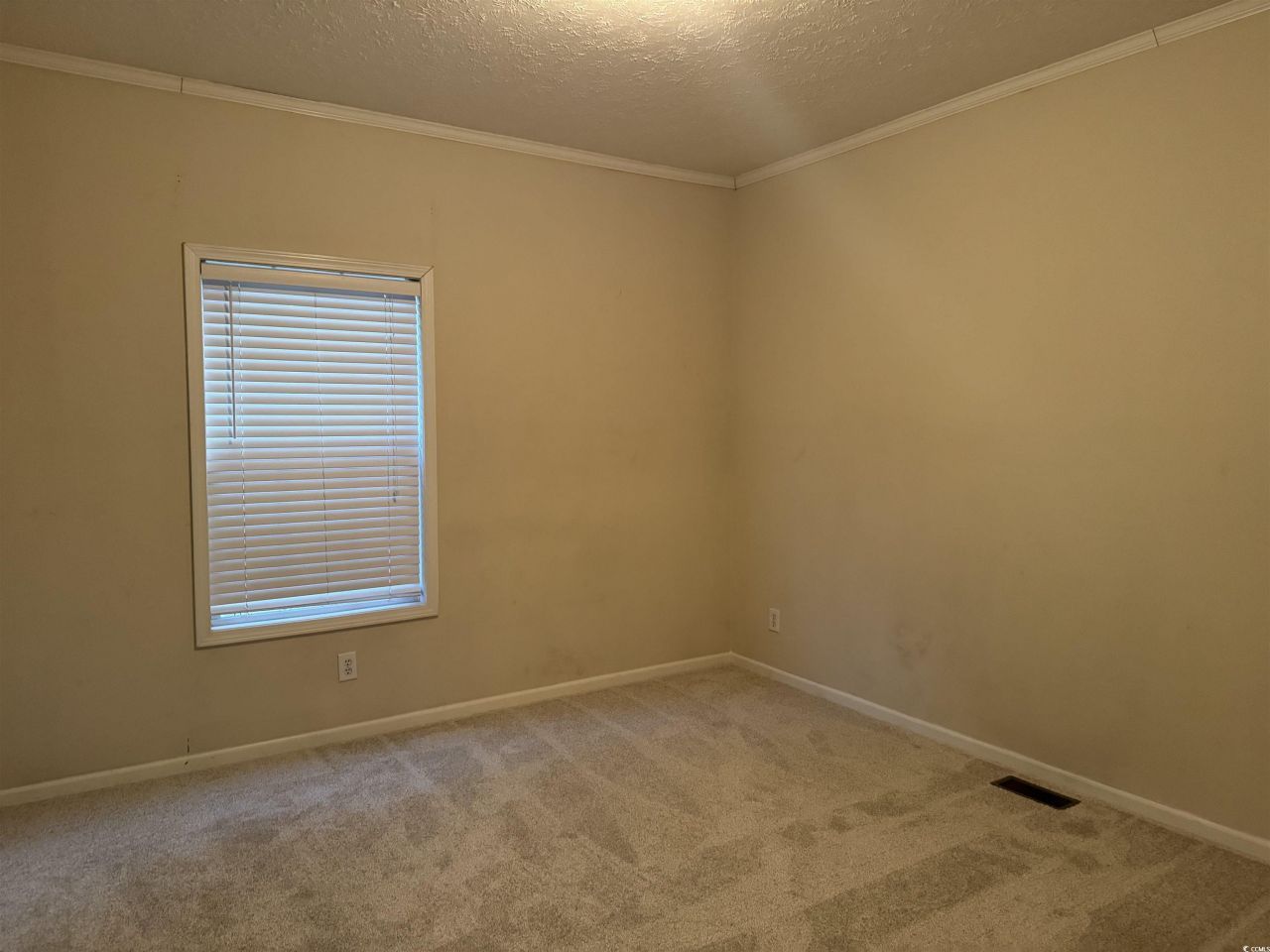 520 Deer Spring Loop  Photo 19