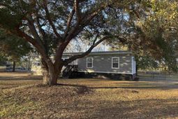 520 Deer Spring Loop  photo 4