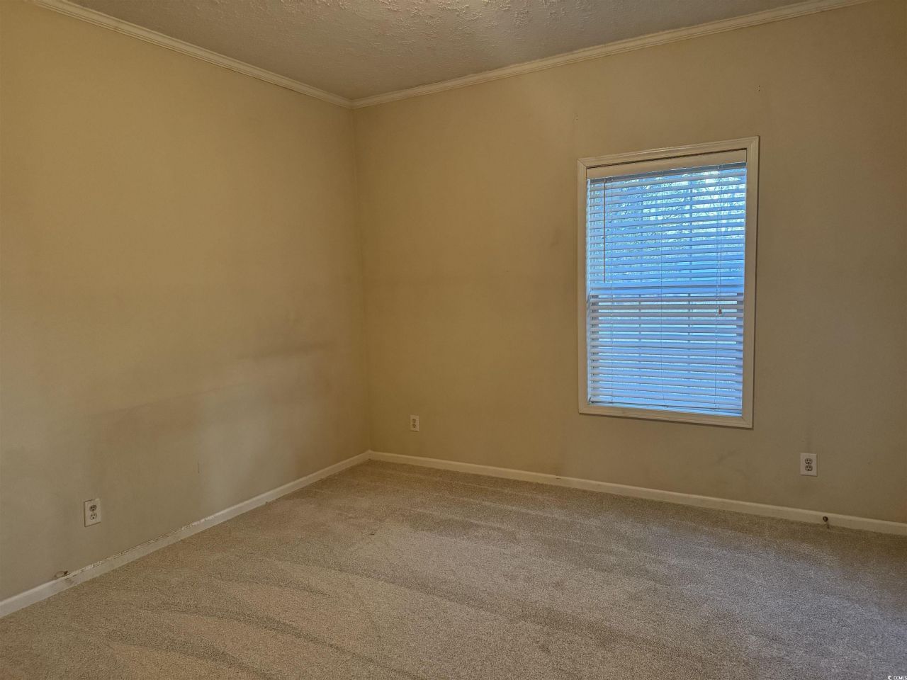 520 Deer Spring Loop  Photo 20