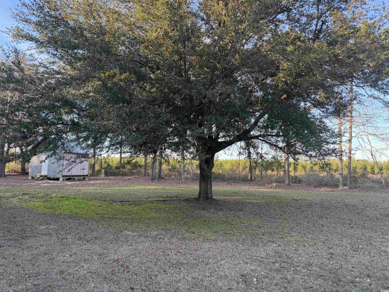 520 Deer Spring Loop  Photo 3