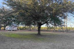 520 Deer Spring Loop  photo 4