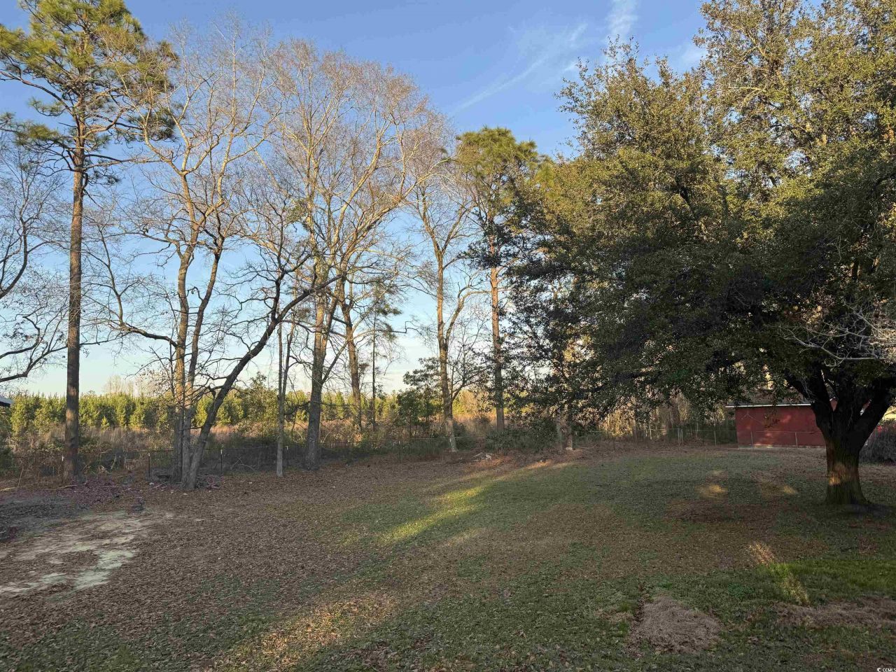 520 Deer Spring Loop  Photo 8