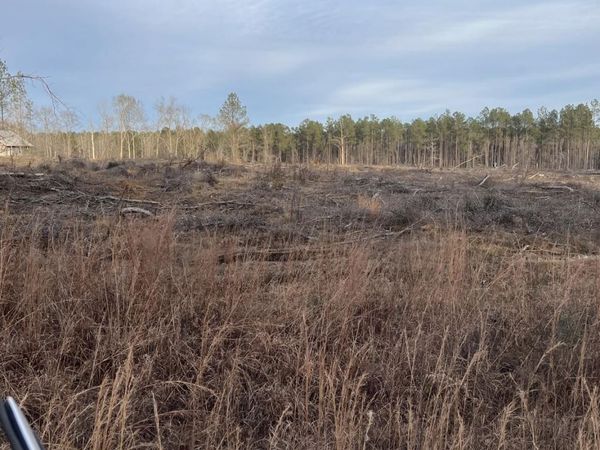 Lot B-6 Mack Ln, Clinton, LA 70722