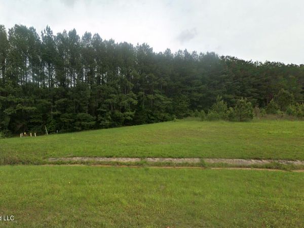 Highway 45n, Waynesboro, MS 39367