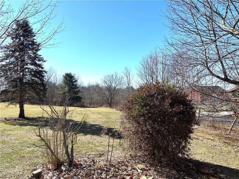 43753 Columbiana Waterford Road, Columbiana, OH 44408 Photo 33