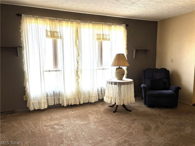 43753 Columbiana Waterford Road, Columbiana, OH 44408 Photo 4