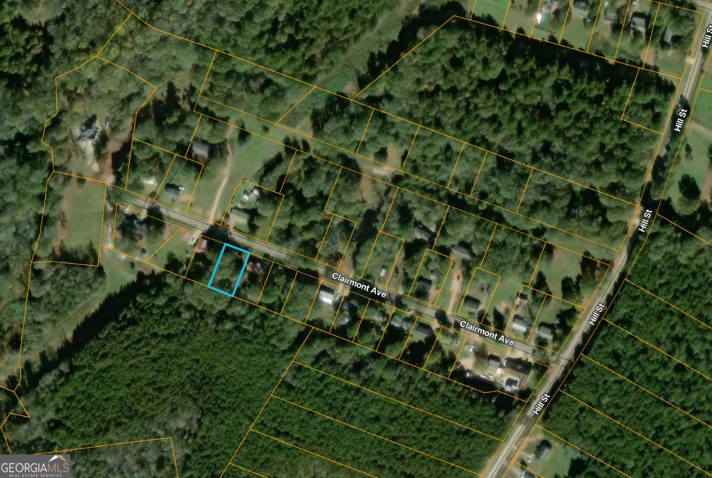 0 Clairmont Avenue, Comer, GA 30629 Main Photo