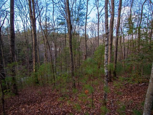 1 Rock Creek, Cherry Log, GA 30522