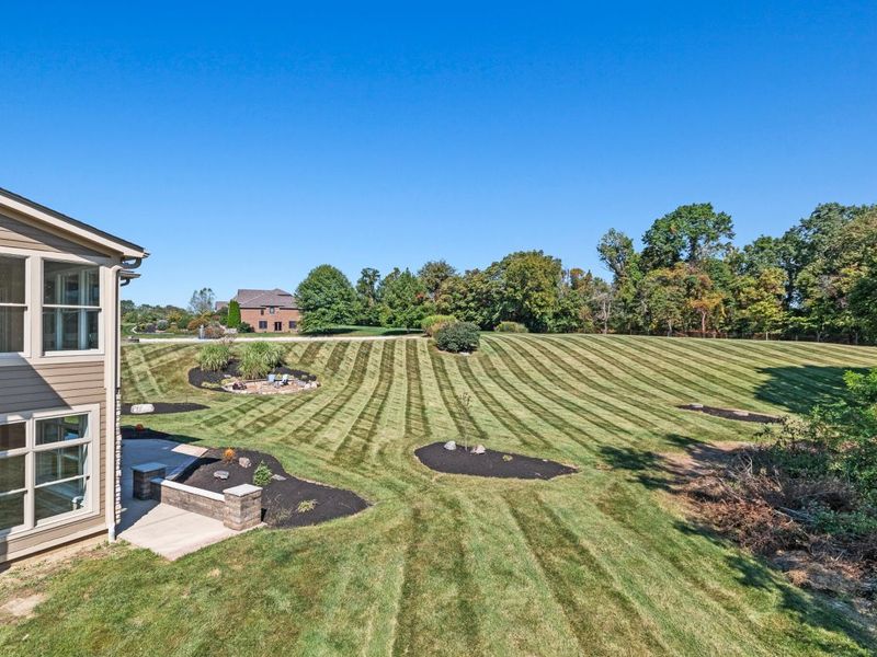 2424 Royal Castle Way, Union, KY 41091 Photo 6