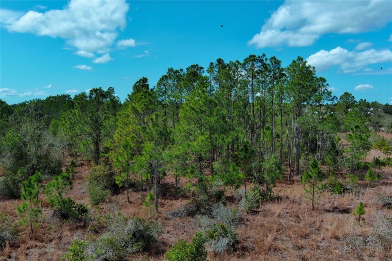 2107 405 Ct E, Myakka City, FL 34251 Photo