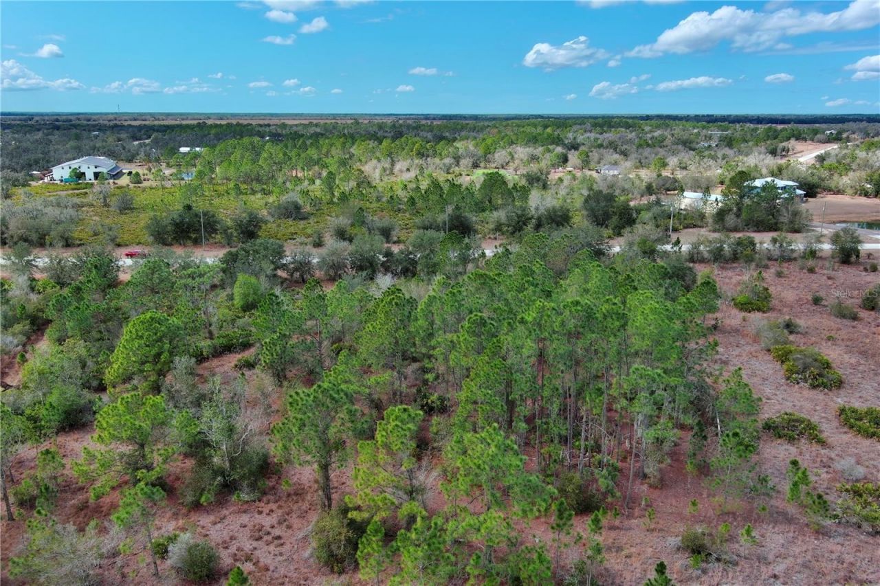 2107 405 Ct E, Myakka City, FL 34251 Photo