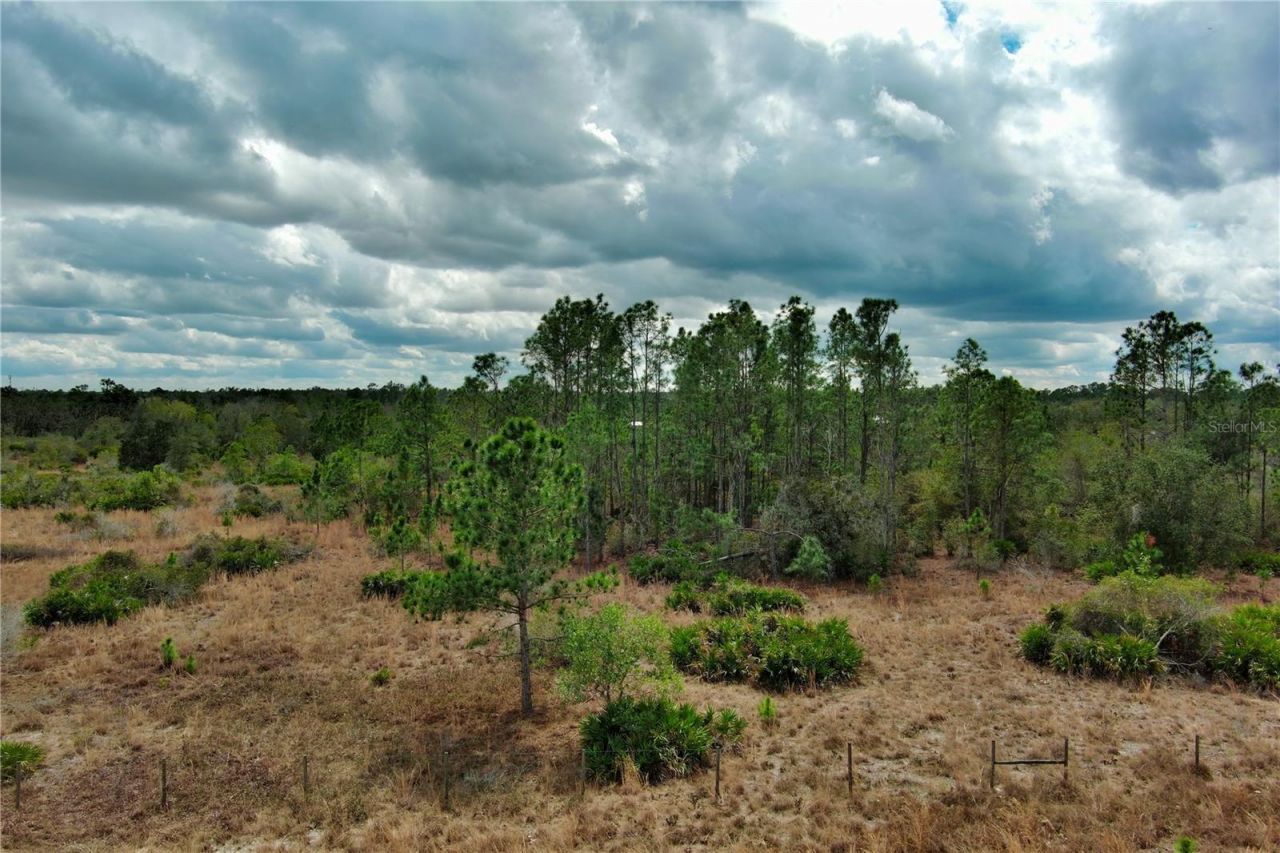 2107 405 Ct E, Myakka City, FL 34251 Photo