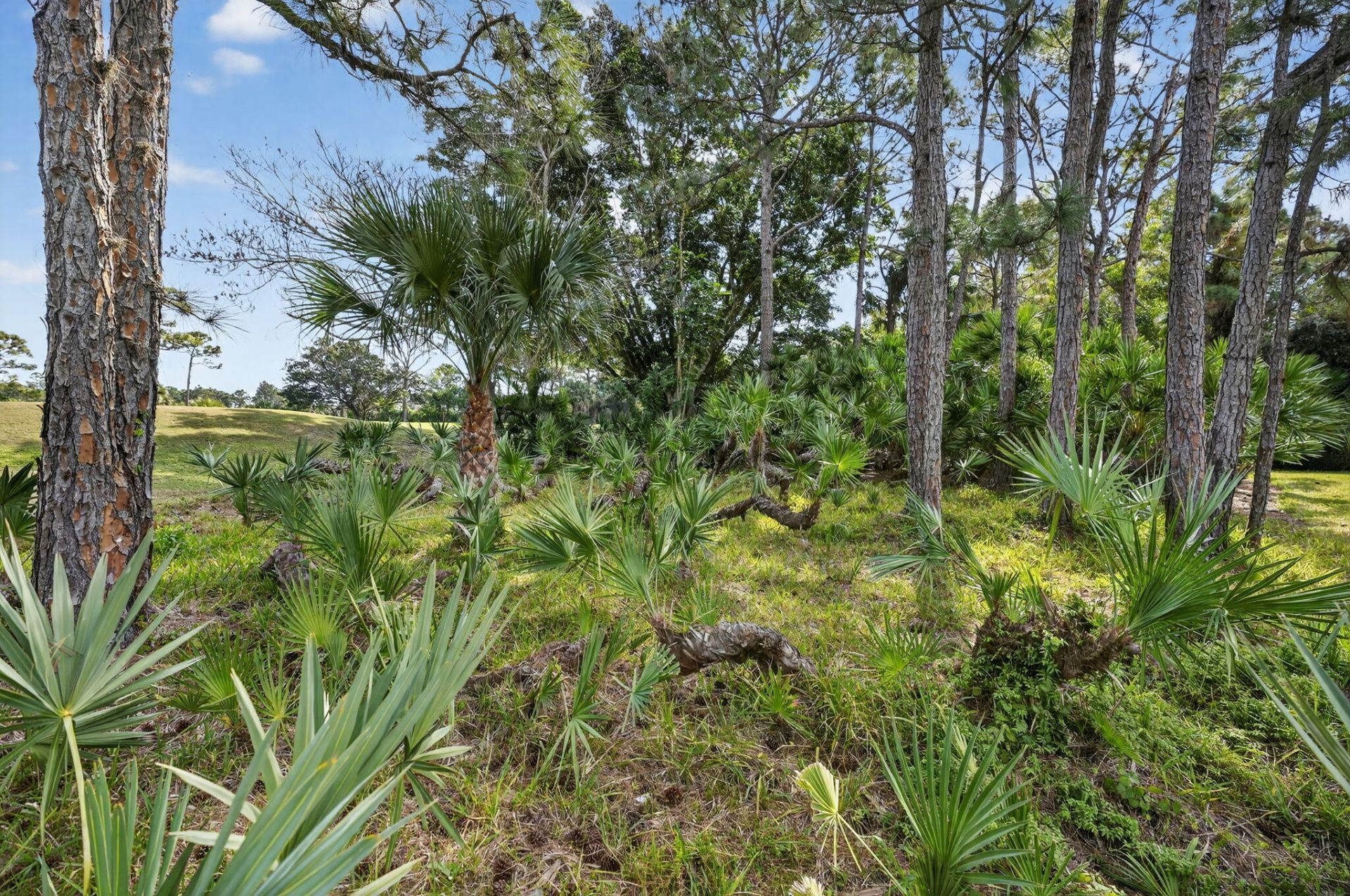 8293 SE Palm Hammock Lane, Hobe Sound, FL 33455 Photo