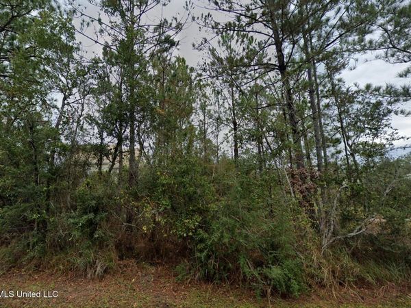 Dolphin Street, Bay Saint Louis, MS 39520