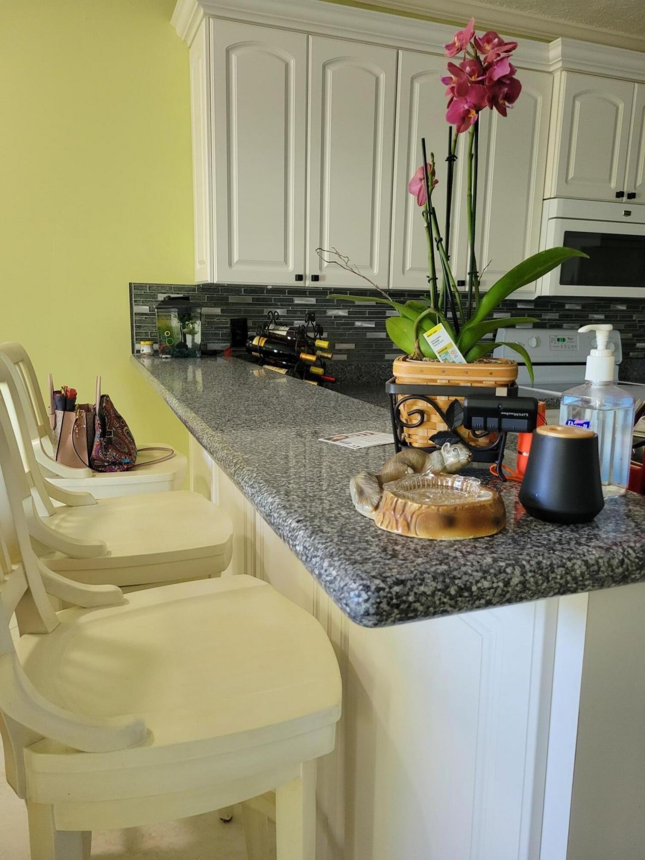 2185 SE Wild Meadow Circle, Port Saint Lucie, FL 34952 Photo