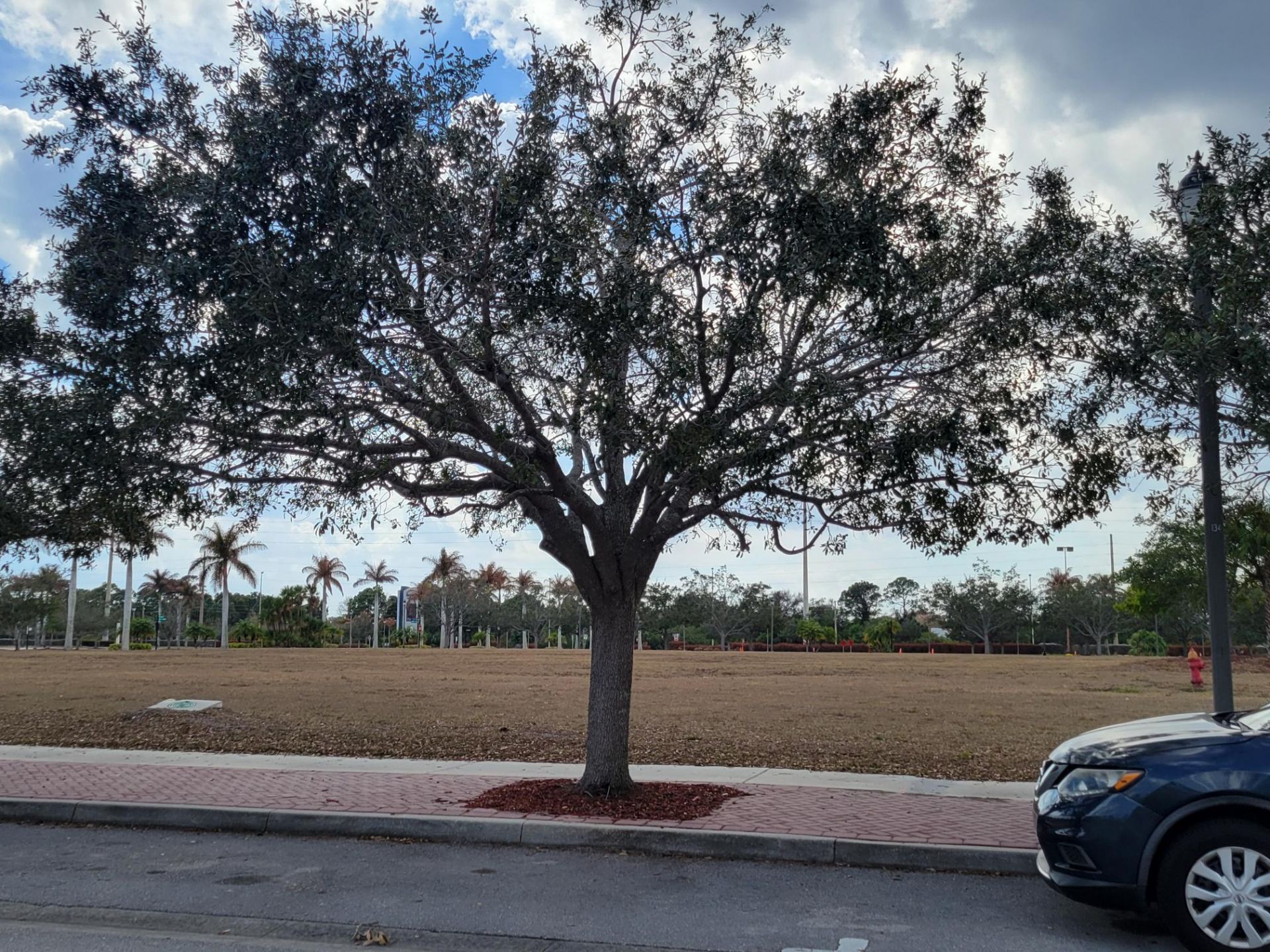 2185 SE Wild Meadow Circle, Port Saint Lucie, FL 34952 Photo