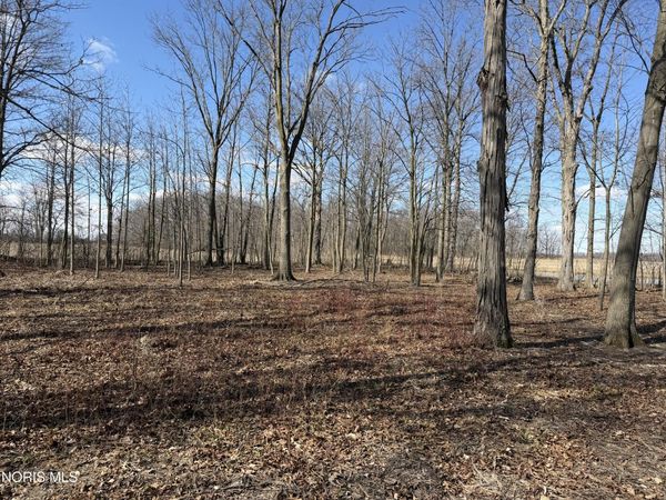 Elmwood Drive , Sherwood, OH 43556