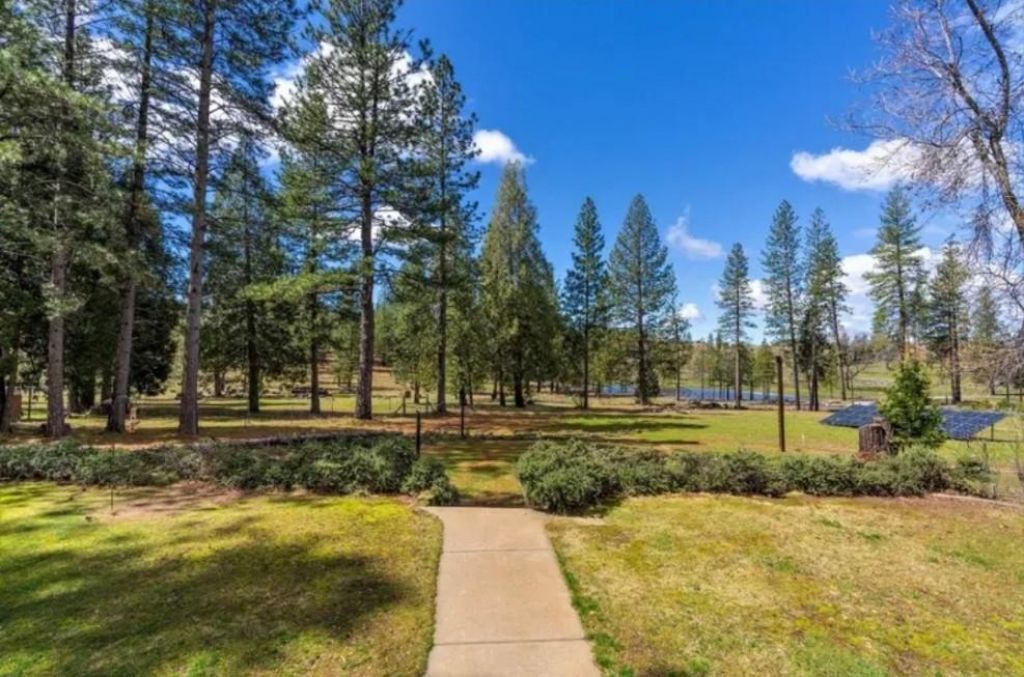 19500 Jesus Maria Rd, Mokelumne Hill, CA 95245 Photo