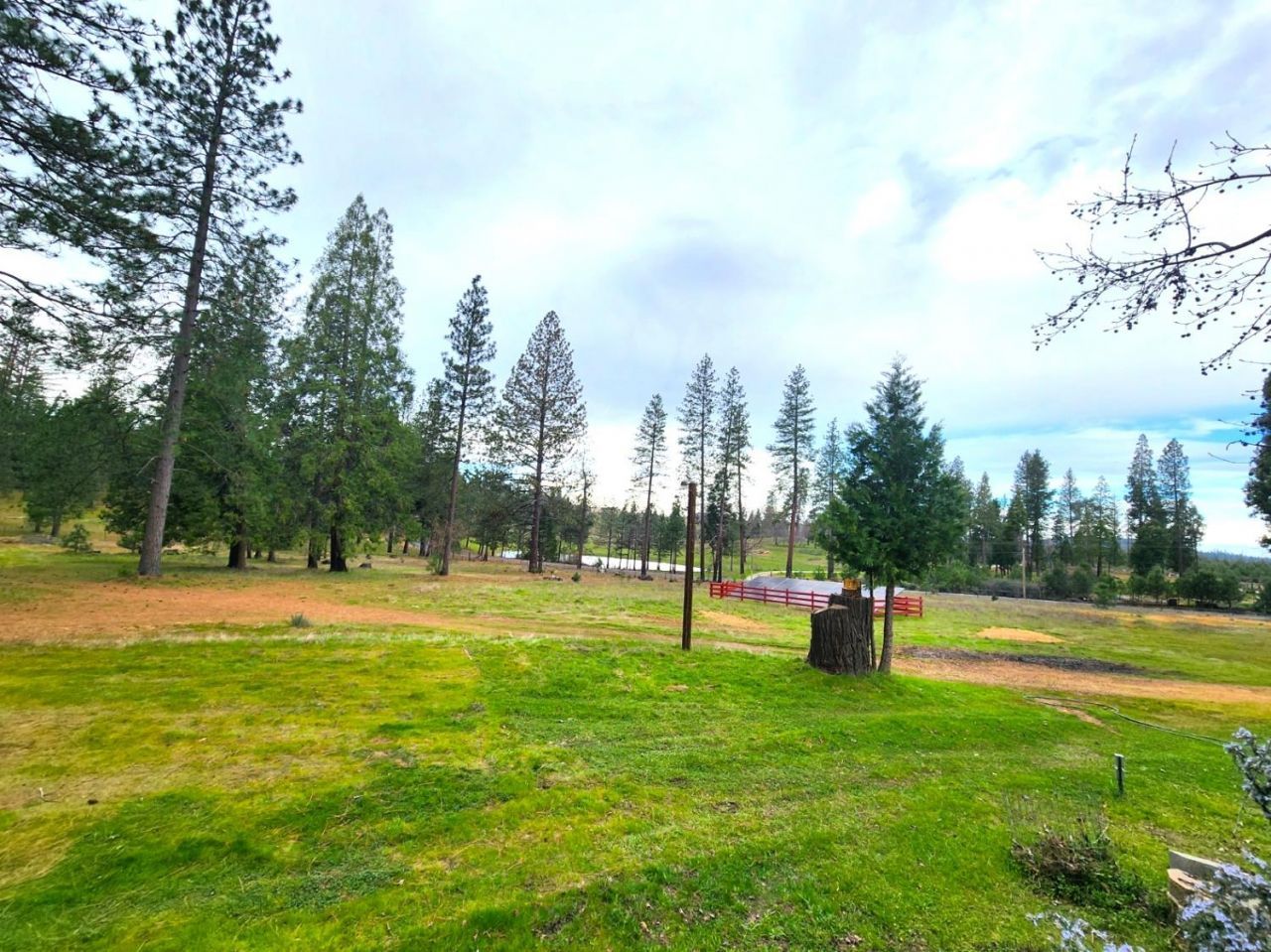 19500 Jesus Maria Rd, Mokelumne Hill, CA 95245 Photo