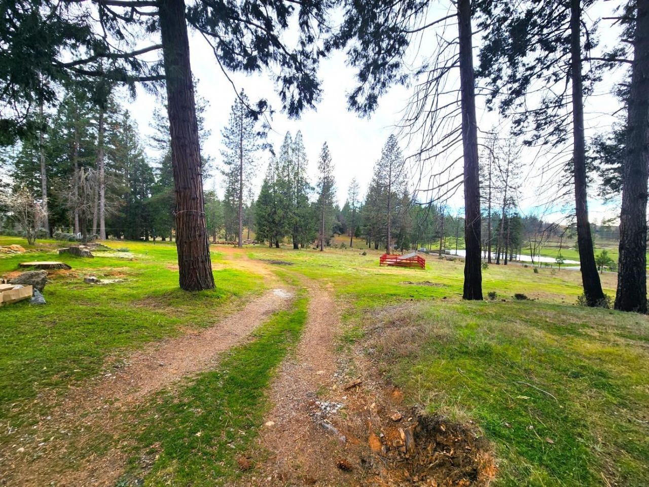 19500 Jesus Maria Rd, Mokelumne Hill, CA 95245 Photo