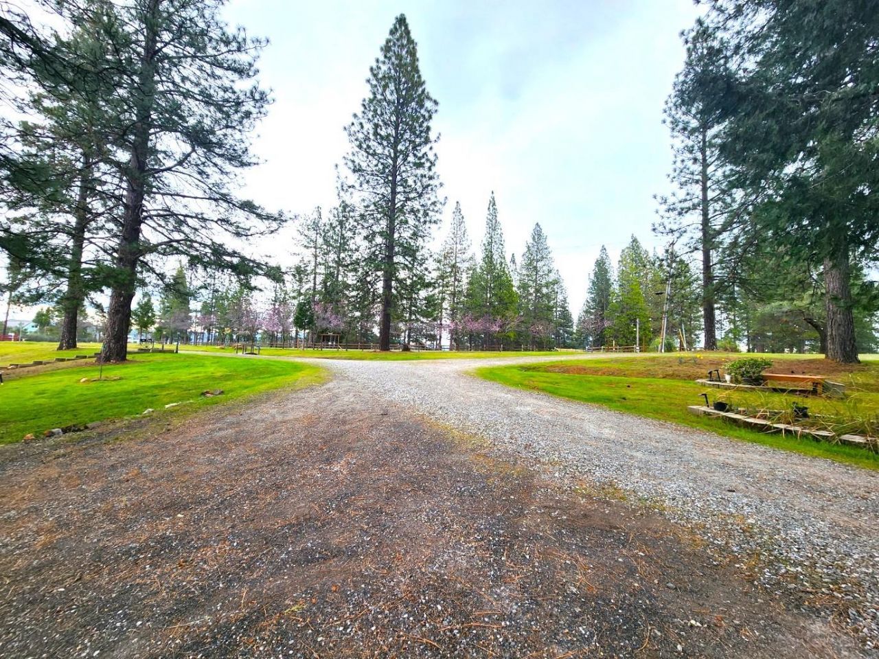 19500 Jesus Maria Rd, Mokelumne Hill, CA 95245 Photo