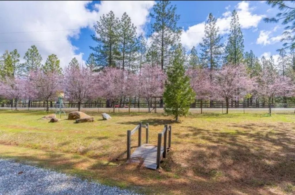 19500 Jesus Maria Rd, Mokelumne Hill, CA 95245 Photo