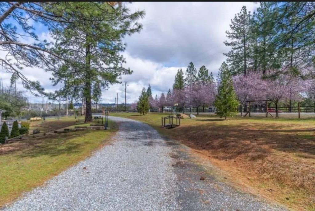 19500 Jesus Maria Rd, Mokelumne Hill, CA 95245 Photo