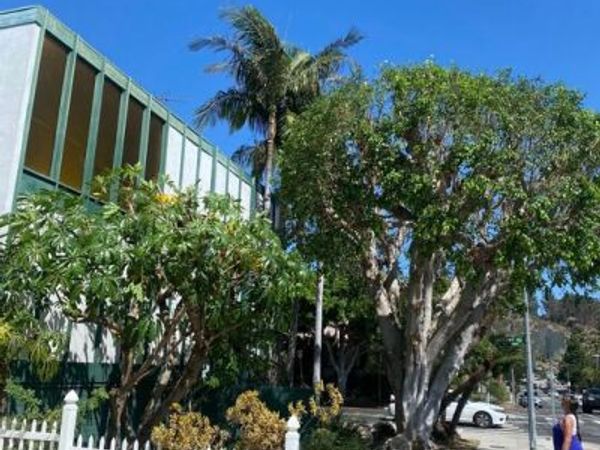 4244 Duquesne Avenue, Unit #9, Culver City, CA 90232