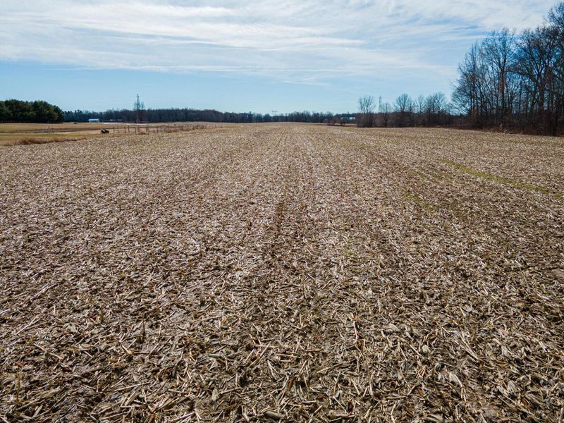 0 County Road 31 , Galion, OH 44833 Photo 16