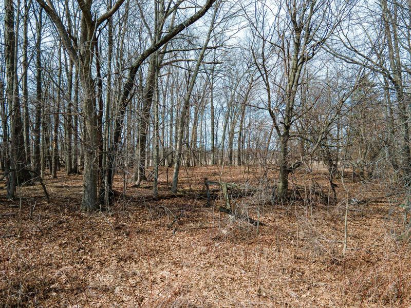 0 County Road 31 , Galion, OH 44833 Photo 18