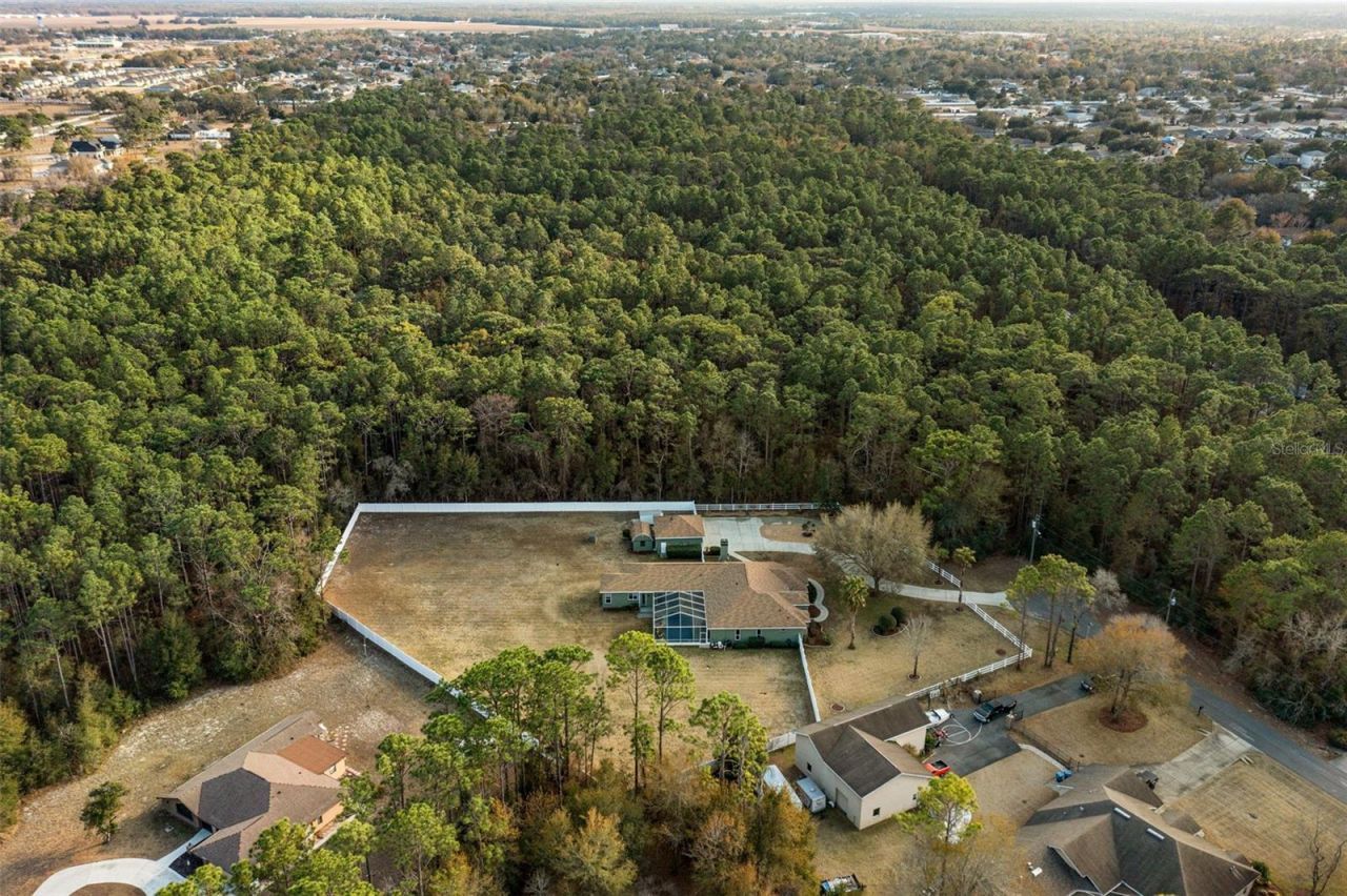 4444 Hansen Trail, Brooksville, FL 34604 Photo