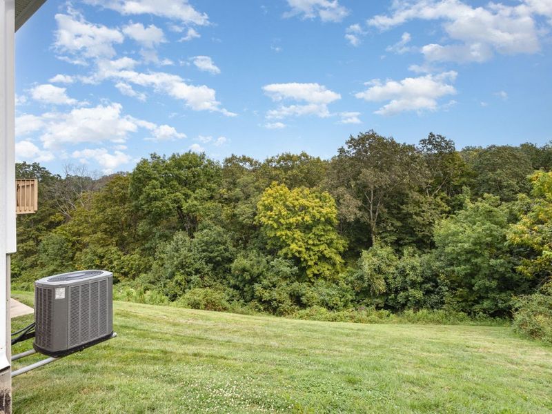 1365 Cairns Court, Independence, KY 41051 Photo 22