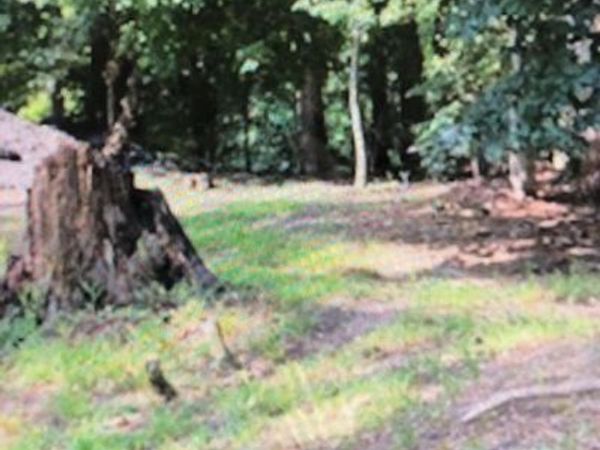 542 MAPLE WAY, LUSBY, MD 20657