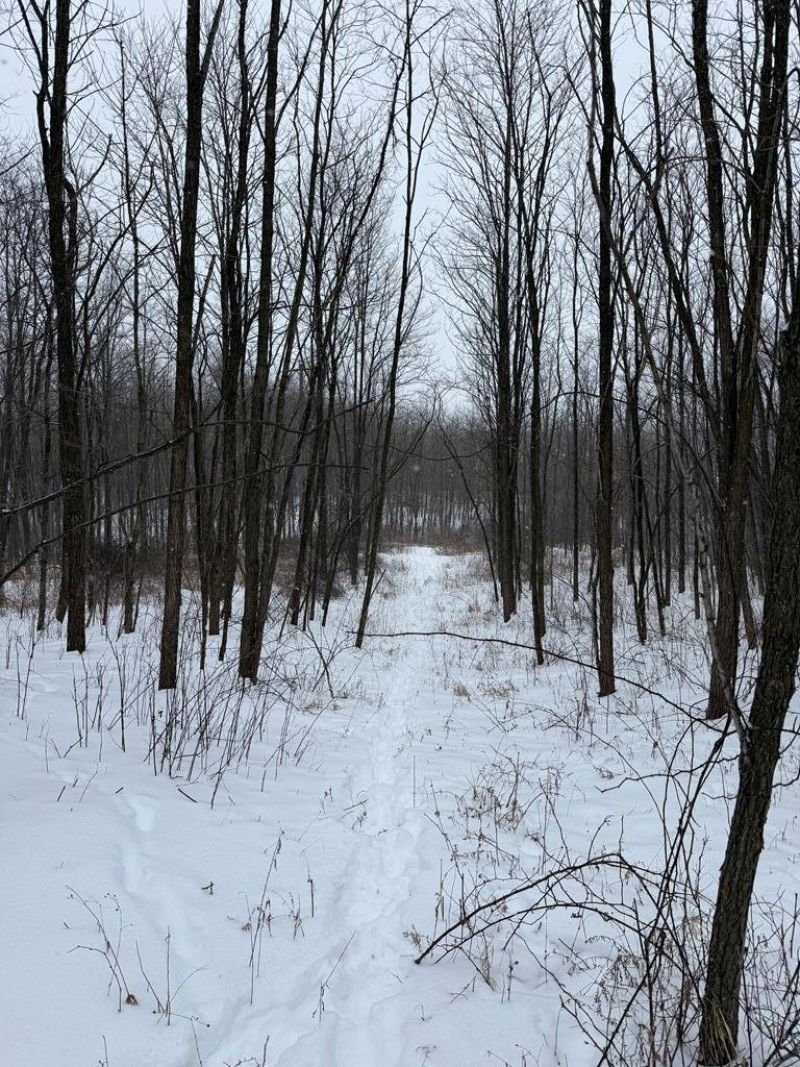 0 State Route 30, Mansfield, OH 44903 Main Photo