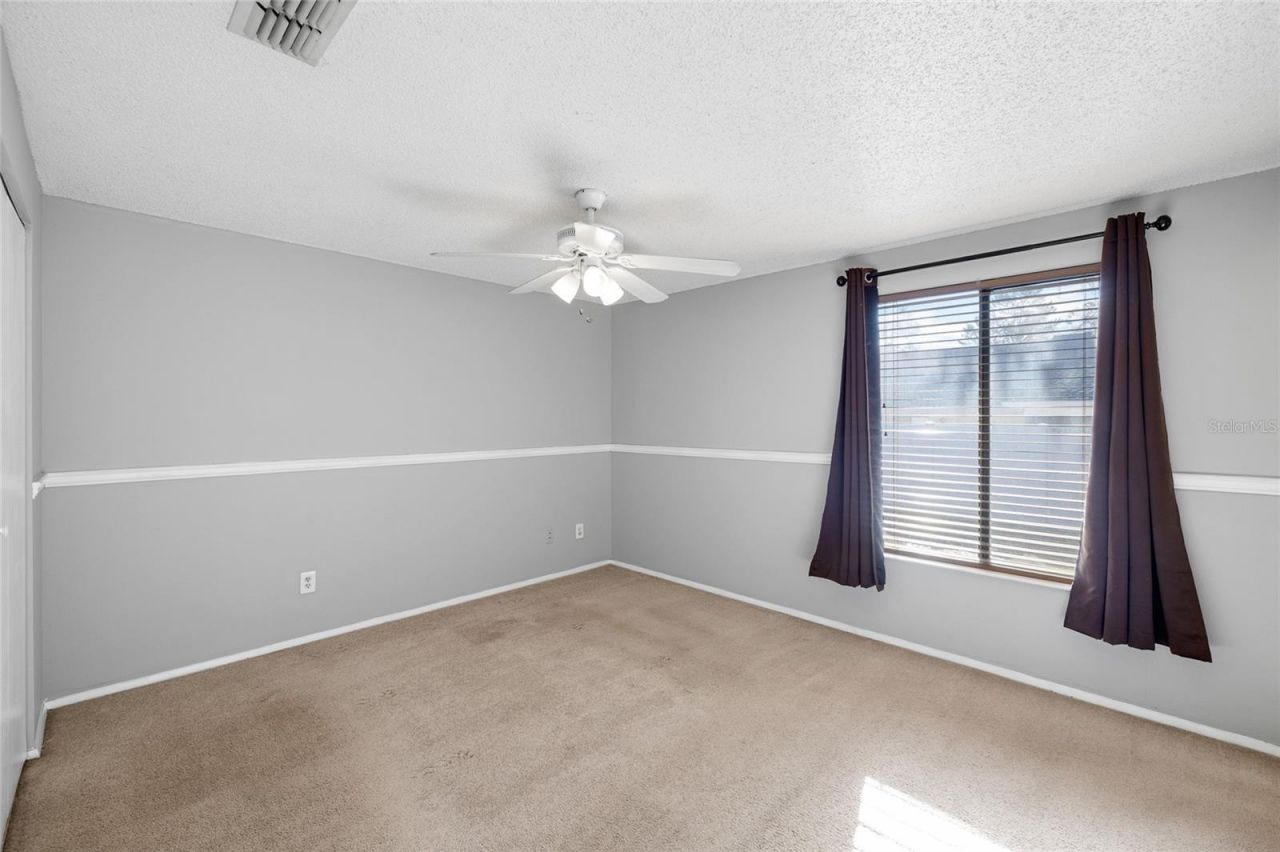 10220 Turkey Oak Drive, New Port Richey, FL 34654 Photo