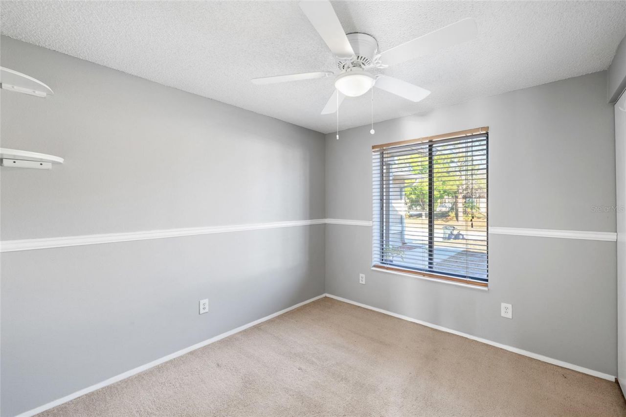 10220 Turkey Oak Drive, New Port Richey, FL 34654 Photo