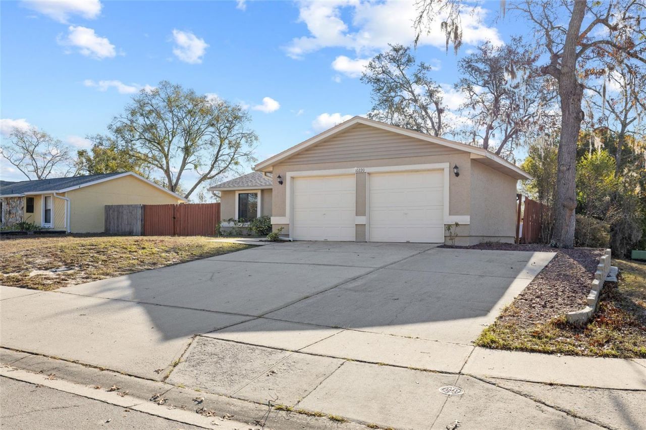 10220 Turkey Oak Drive, New Port Richey, FL 34654 Photo