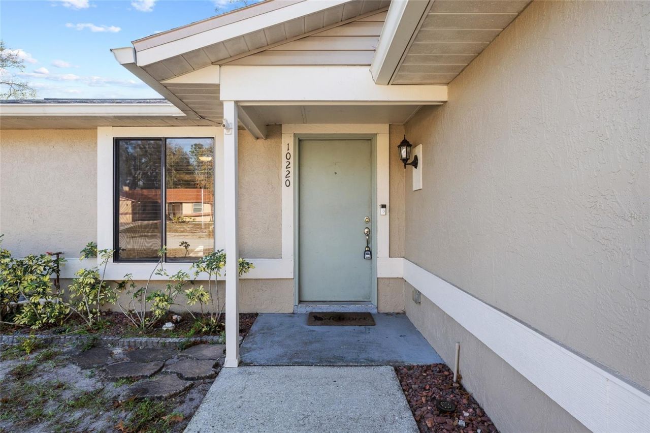 10220 Turkey Oak Drive, New Port Richey, FL 34654 Photo
