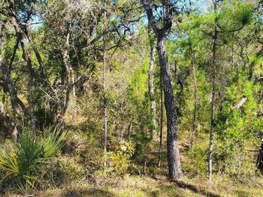 Lot 56 MICHIGAN AVENUE , WEEKI WACHEE, FL 34613