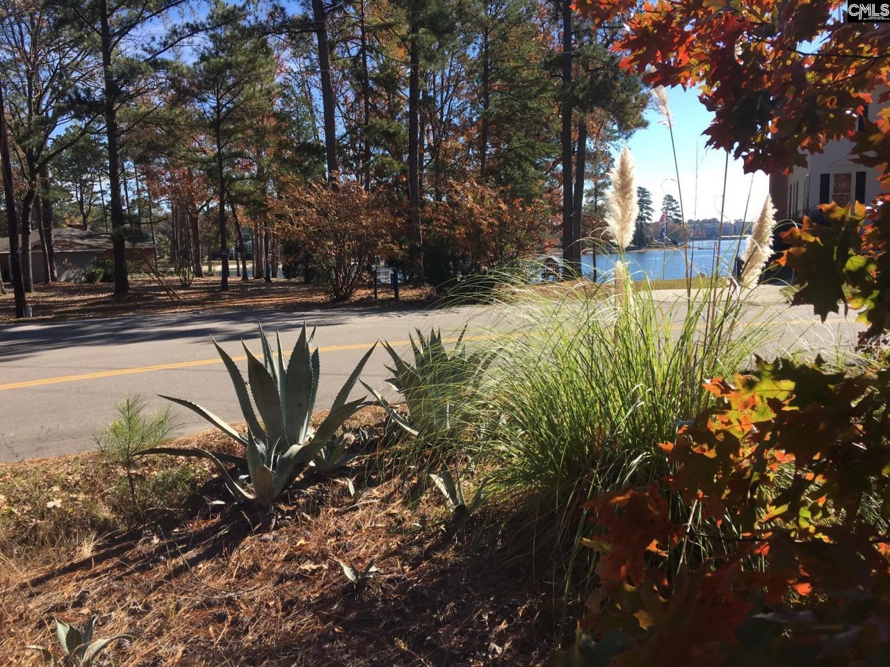 514 Shadowood Drive  Photo 5