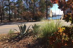 514 Shadowood Drive  photo 4