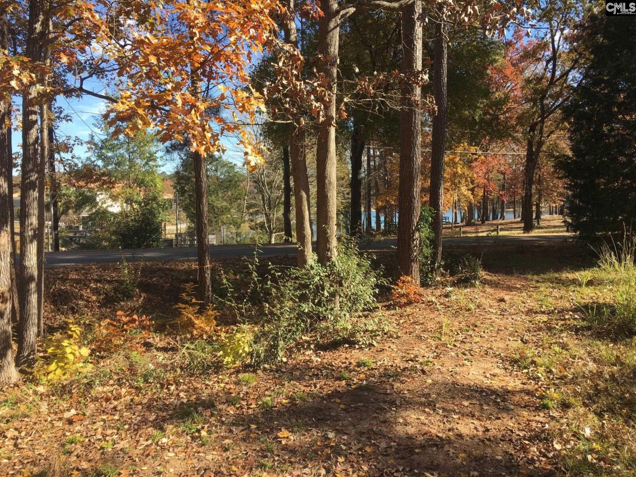 514 Shadowood Drive  Photo 7