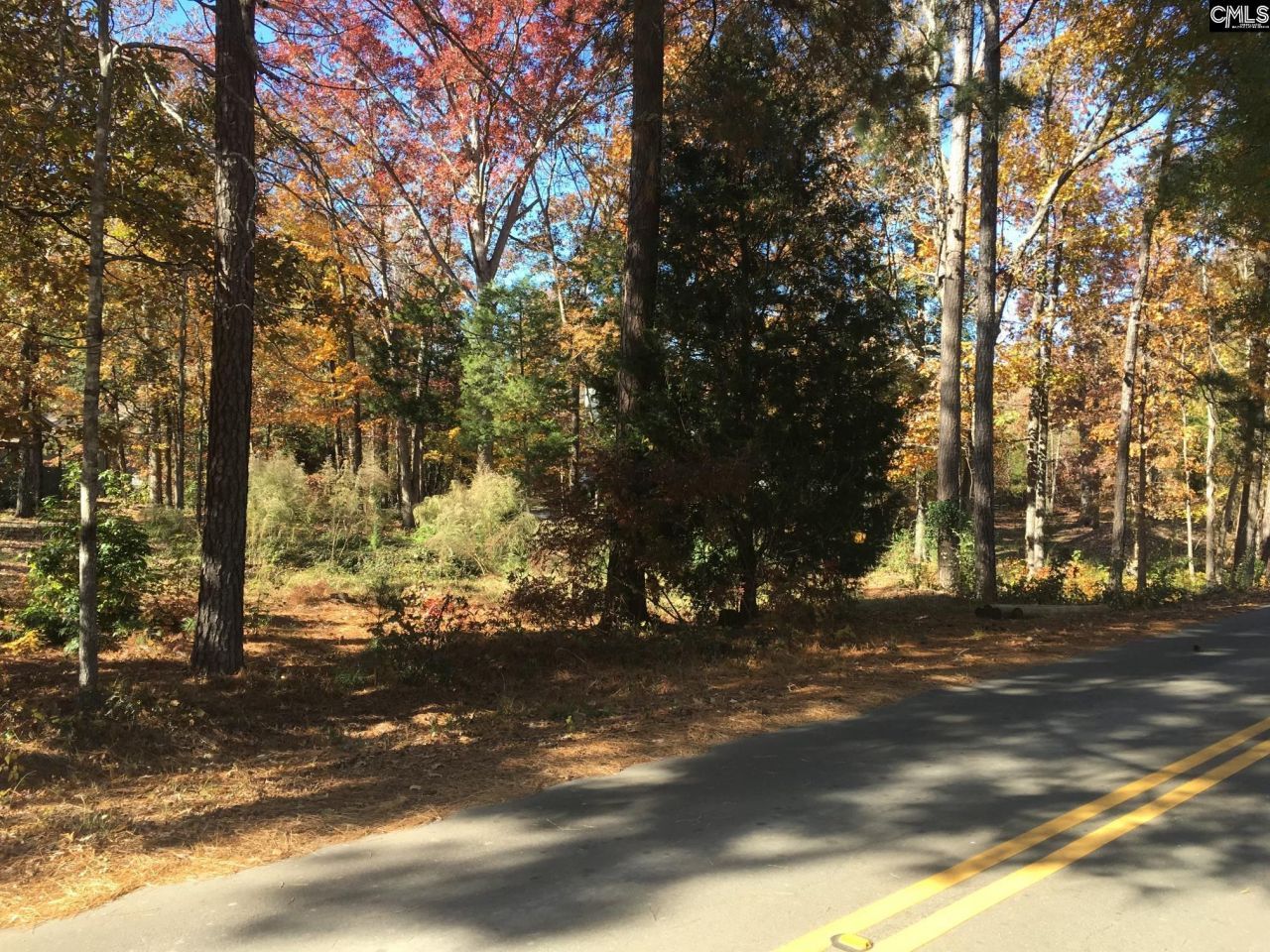 514 Shadowood Drive  Photo 8