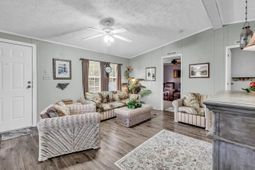 738 Oliver Dr.  photo 4