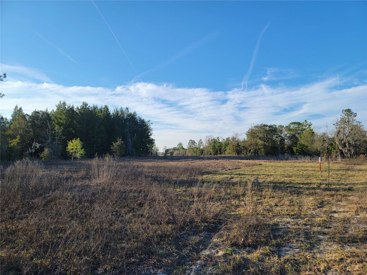 0 NE 20th Street, Williston, FL 32696 Photo